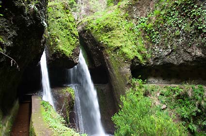 Levadas