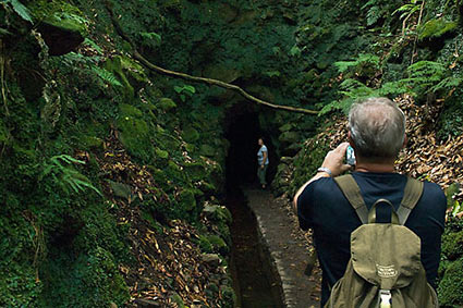 1 - 6 Levada Caldeirão Verde