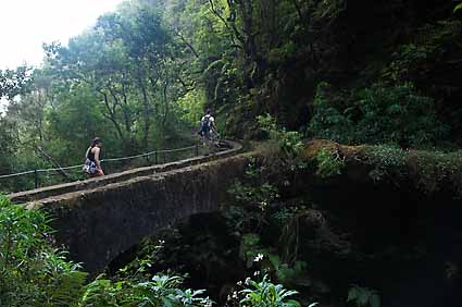 2 - 6 Levada Caldeirão Verde