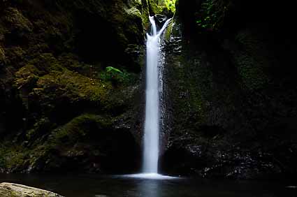 4 - 6 Levada Caldeirão Verde
