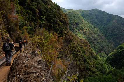 3 - 5 Levada Ribeira Janela