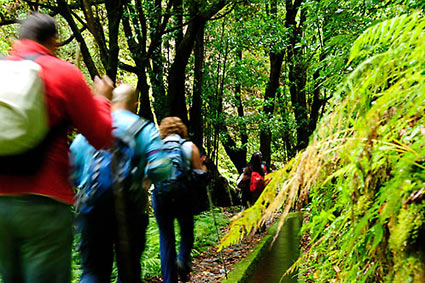2 - 4 Levada do Rei
