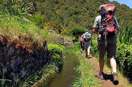 2 - 8 Your Choice - Any Hike