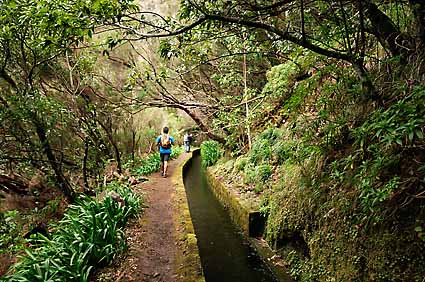 6 - 8 Your Choice - Any Hike