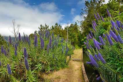 8 - 8 Your Choice - Any Hike