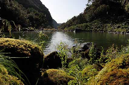 4 - 6 Levada Risco & 25 Fontes