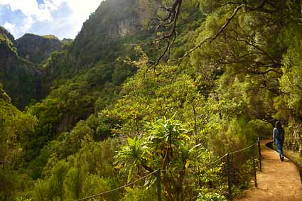 6 - 6 Levada Risco & 25 Fontes