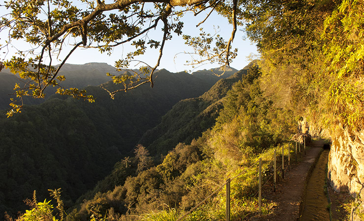 Levada do Rei São Jorge, Santana