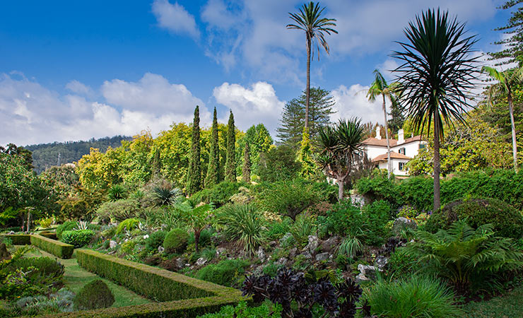 Palheiro Ferreiro Gardens Gardens of Madeira